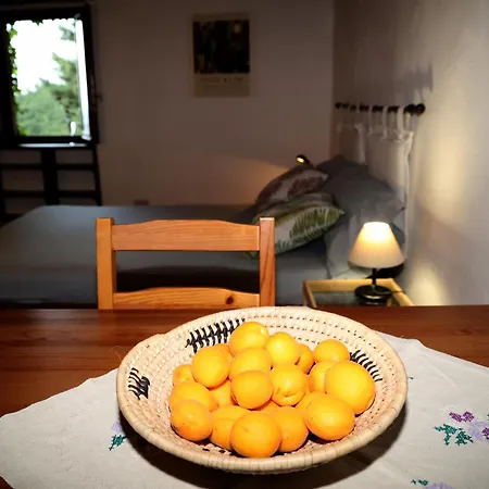 Affittacamere Casa Marju Montemassi Esterno foto