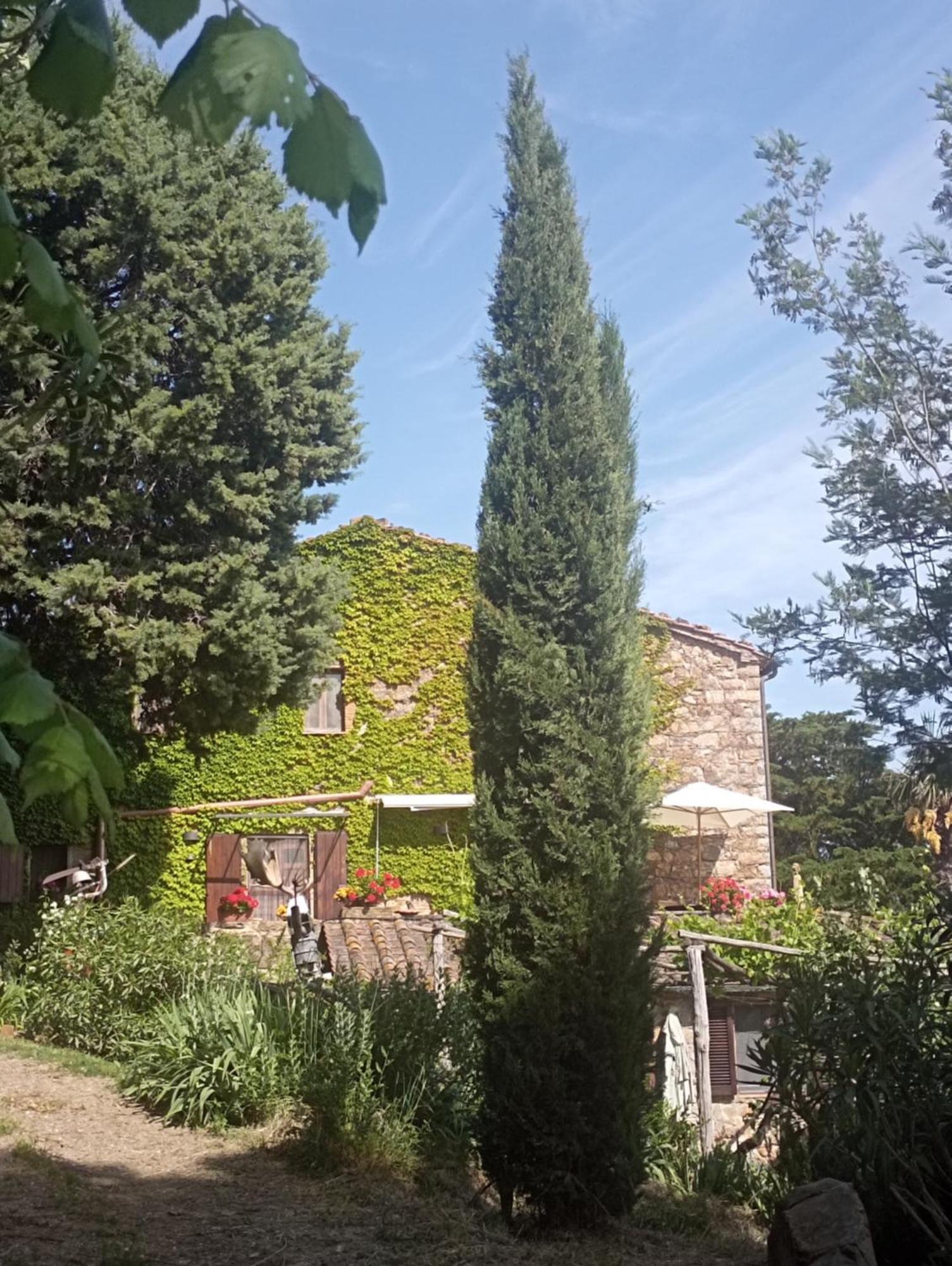 Casa Marju Montemassi