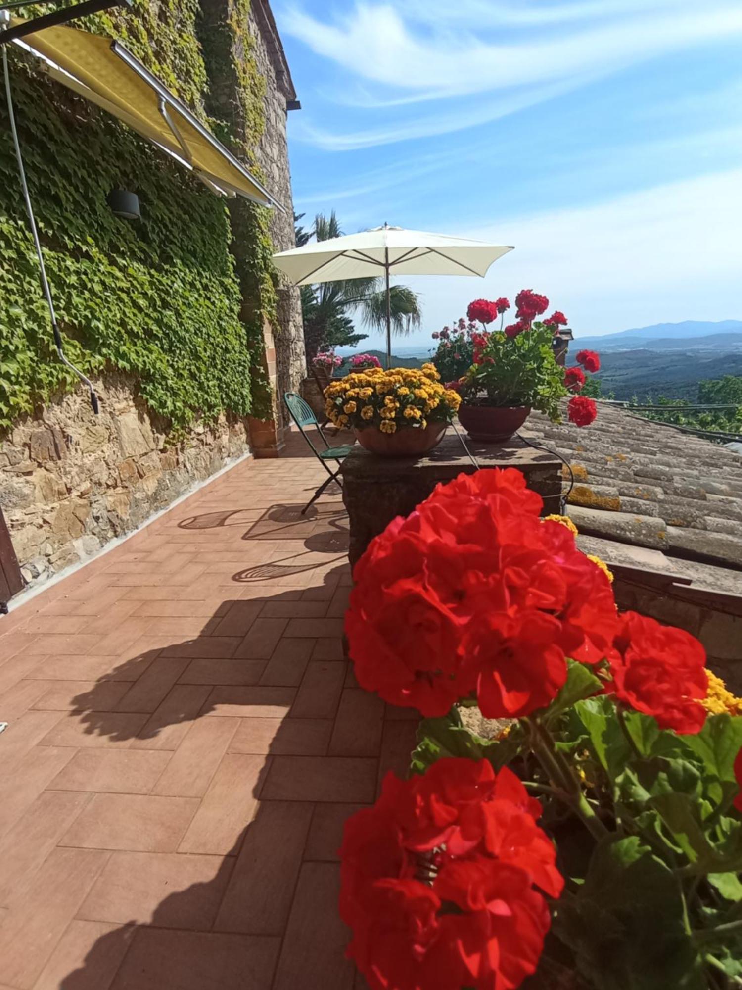 Casa Marju Montemassi