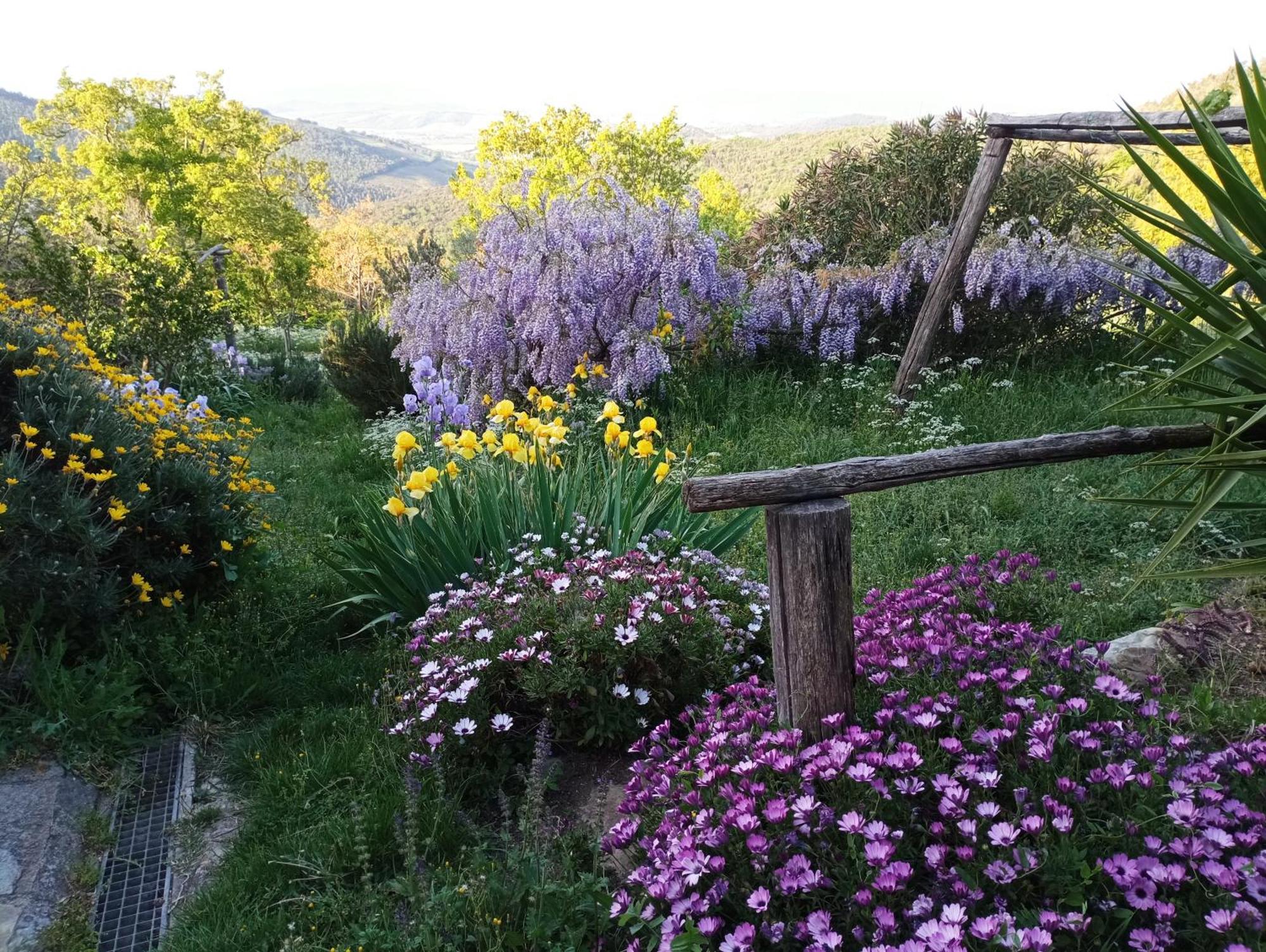 Country house Casa Marju
